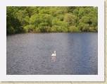 30May05 - Ireland Cam, Harls, Tim & Sally 055 * 2272 x 1704 * (2.69MB)